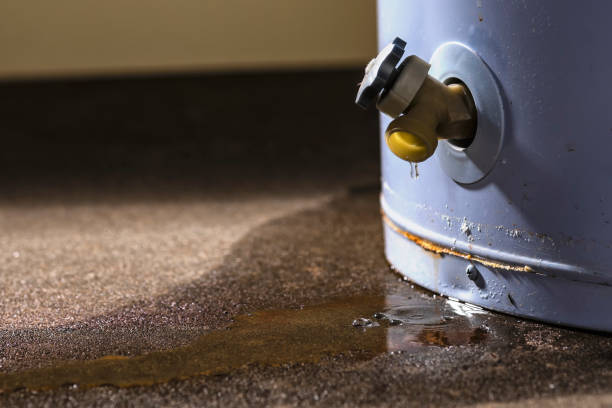 Best Water damage restoration near me  in Goldsboro, NC