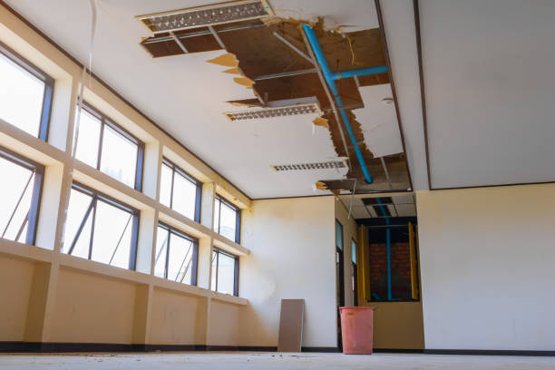 Best Ceiling water damage repair  in Goldsboro, NC