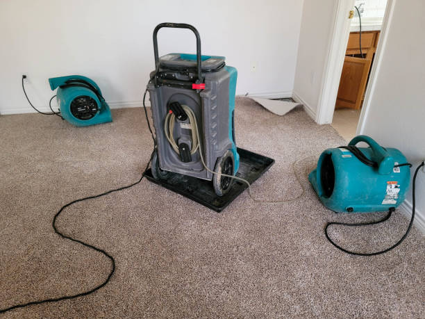 Best Commercial water damage restoration  in Goldsboro, NC