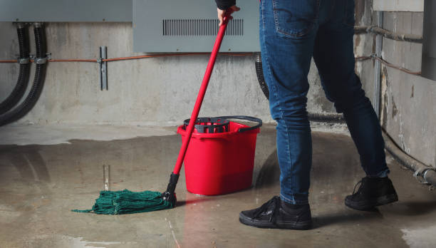 Best Water damage contractors near me  in Goldsboro, NC