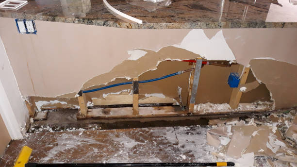 Best Water damage restoration near me  in Goldsboro, NC