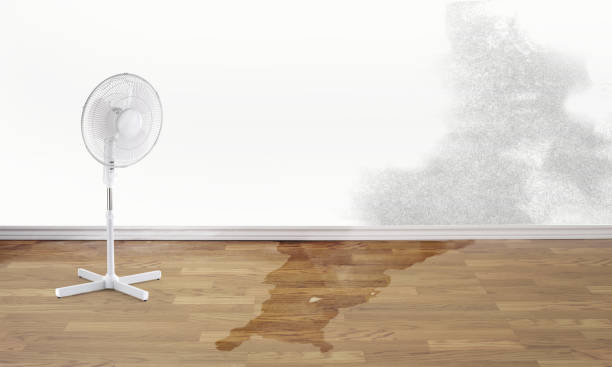 Best Flood restoration services  in Goldsboro, NC