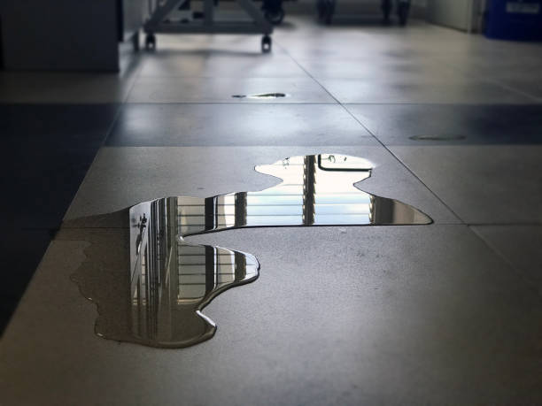 Best Professional water damage repair  in Goldsboro, NC