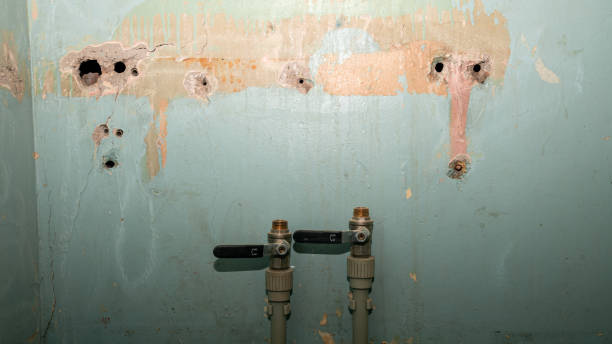 Best Water damage restoration insurance claims  in Goldsboro, NC
