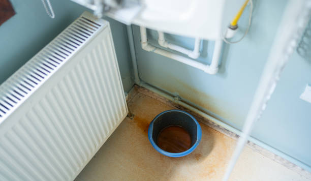 Best Carpet water damage restoration  in Goldsboro, NC