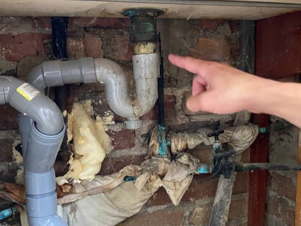 Best 24/7 water damage repair  in Goldsboro, NC
