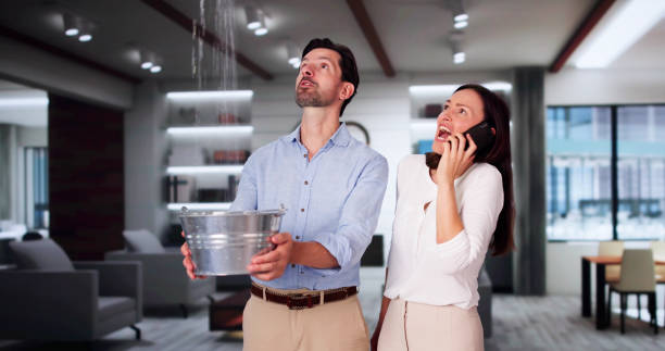 Best Local water damage restoration  in Goldsboro, NC