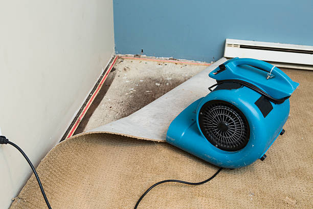 Best Flood restoration services  in Goldsboro, NC